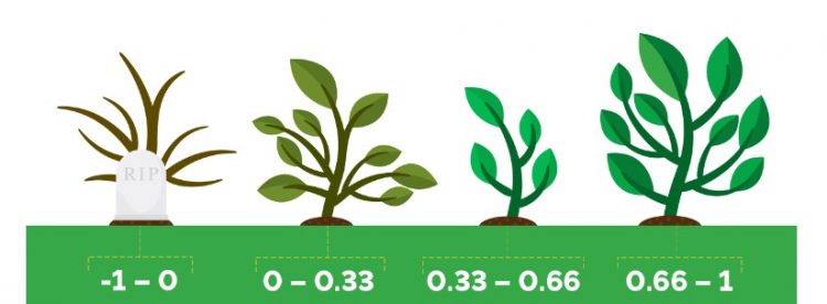 NDVI nedir? NDVI Teknolojisinin Bitki Sağlığına Katkısını Anlamak Rembeltech.com