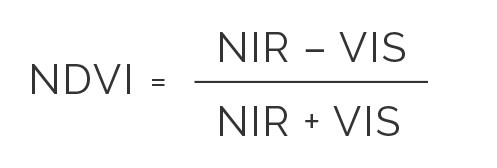 NDVI nedir? NDVI Teknolojisinin Bitki Sağlığına Katkısını Anlamak Rembeltech.com